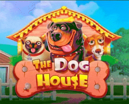 play The Dog House in baloo casino